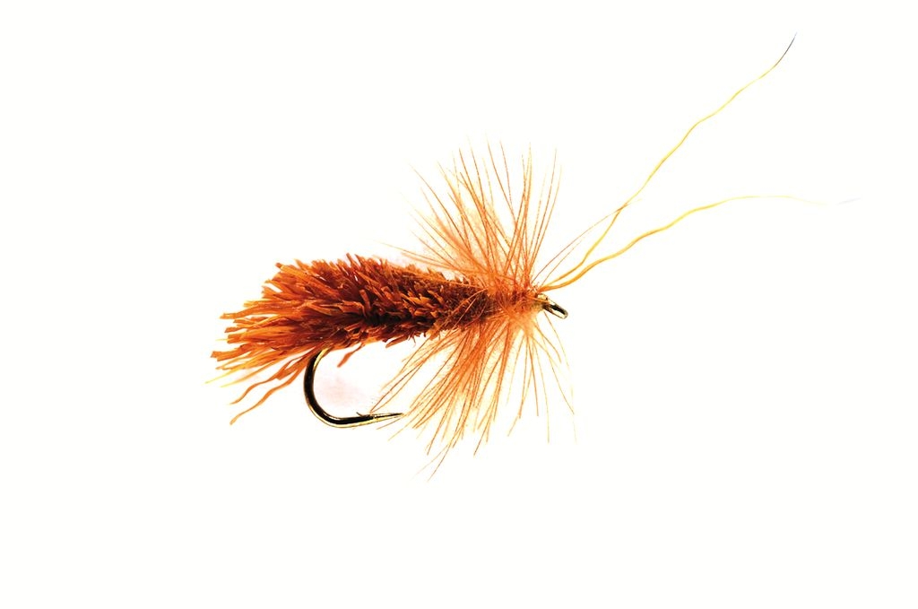 Sedge-fluga som visuell referens